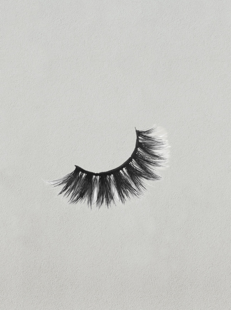 Zephyr
